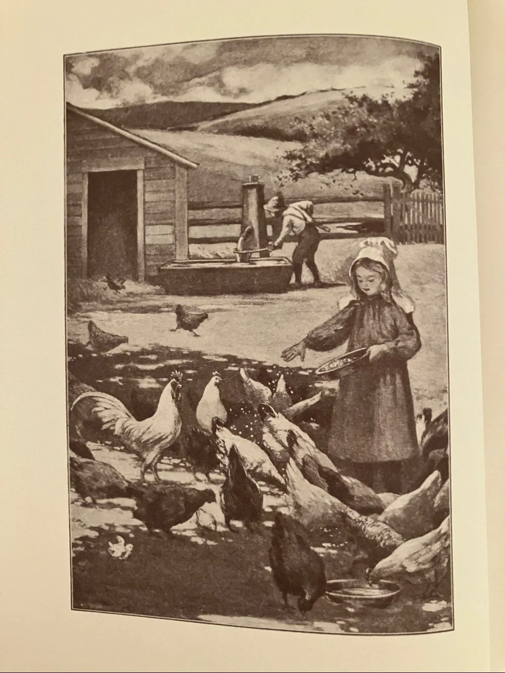 The Pioneer Lady’s Country Kitchen